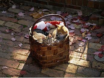 XGP二月下旬新增游戏阵容 《破晓传说》等