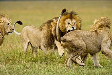 《命运2》公开“代号：前线”扩展未来更新细节