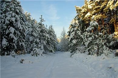  《United 1944》发售日预告 12月12日EA发售